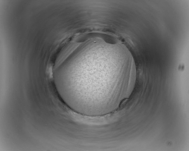 X0000097610042200803141949