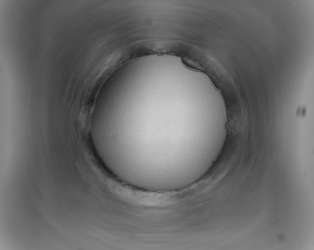 X0000097610044200803141949