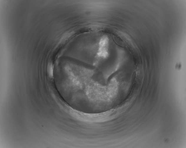 X0000097610046200803141949