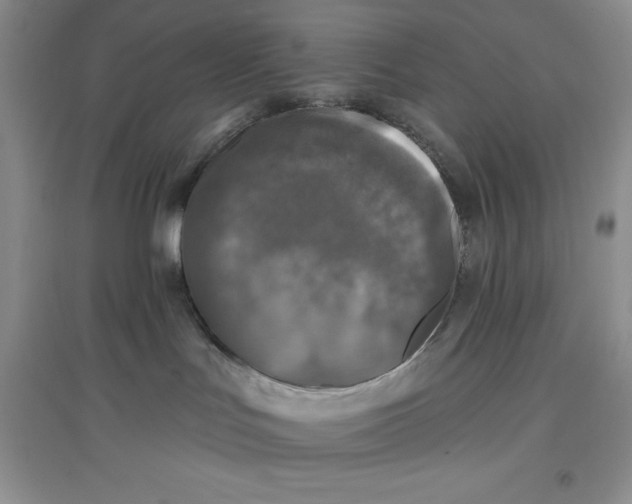 X0000097610047200803141949