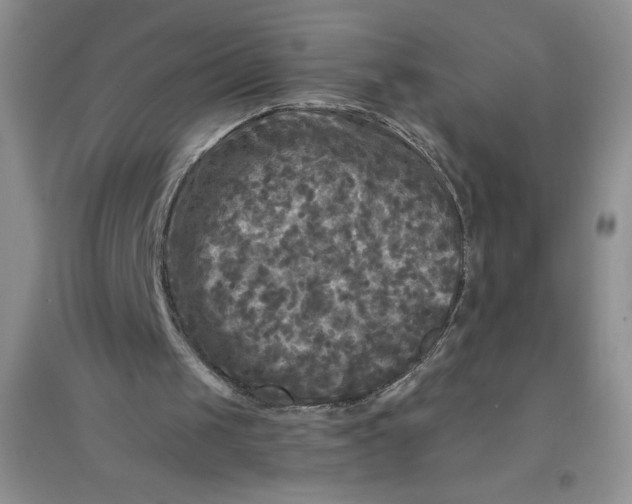 X0000097610049200803141948