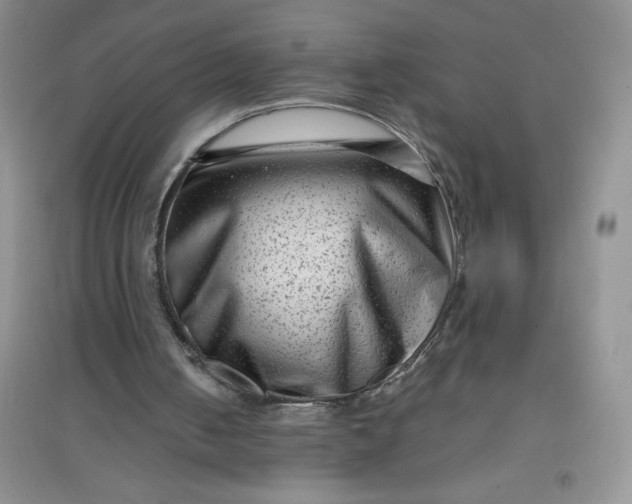 X0000097610050200803141948