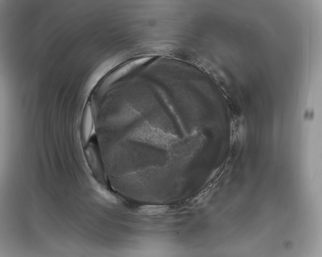 X0000097610051200803141948