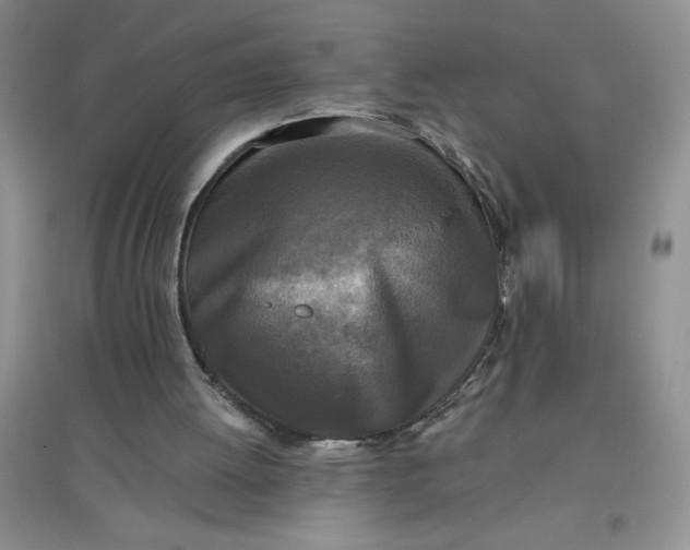 X0000097610052200803141948