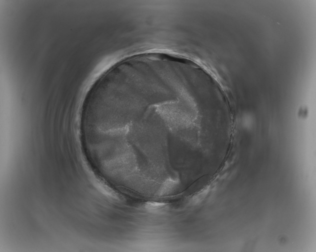 X0000097610055200803141949