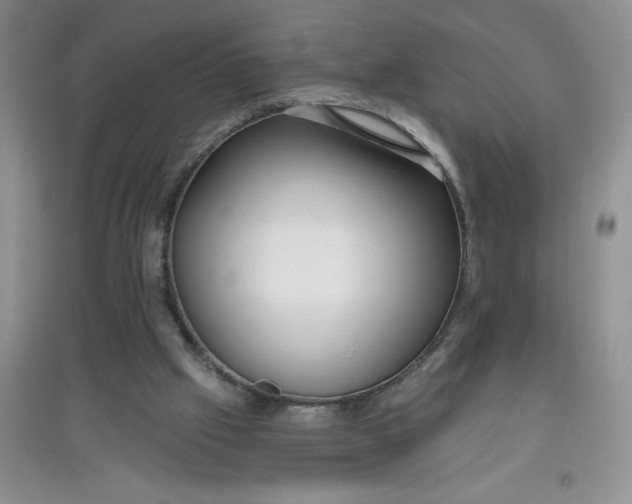 X0000097610057200803141949