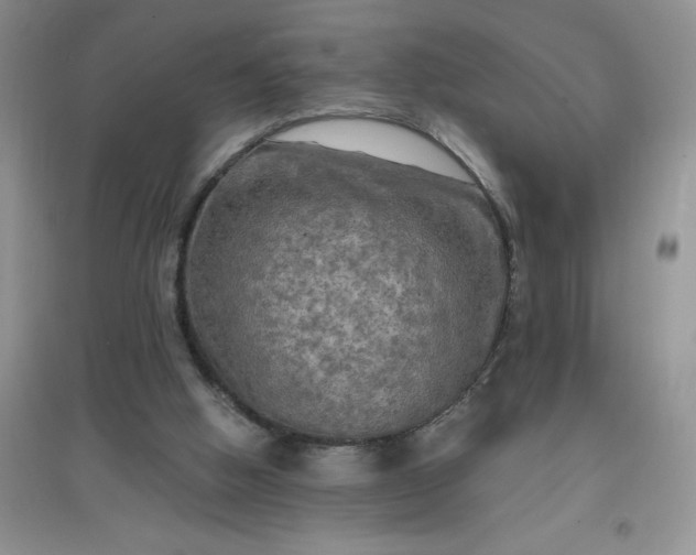 X0000097610058200803141949