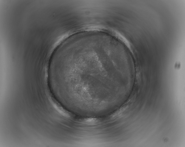 X0000097610059200803141949