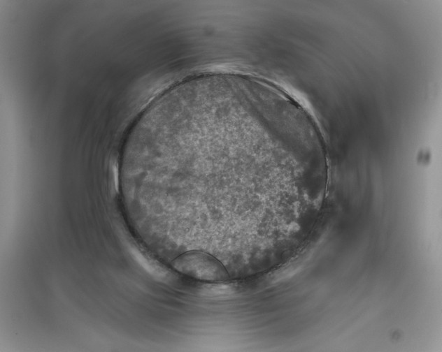 X0000097610061200803141949