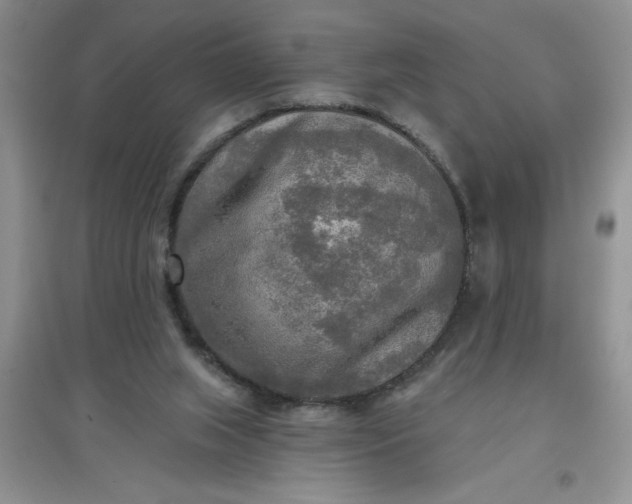 X0000097610063200803141949