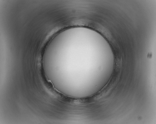 X0000097610064200803141949