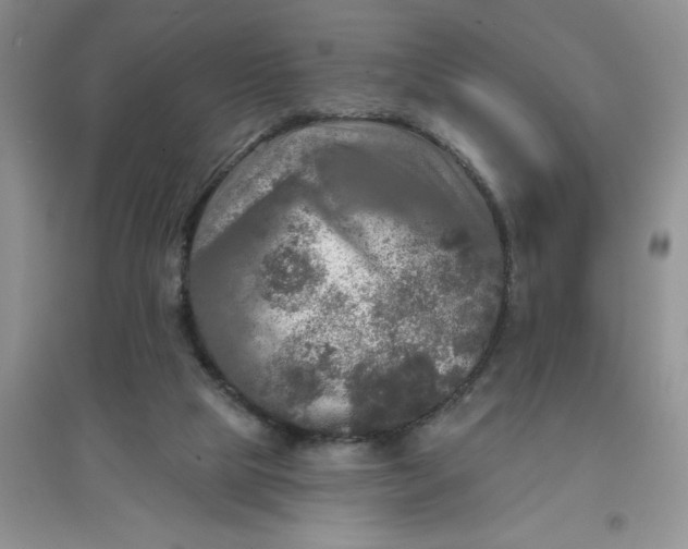 X0000097610065200803141949