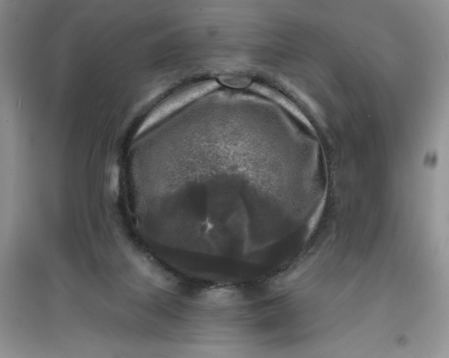 X0000097610067200803141949