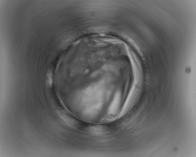 X0000097610069200803141949