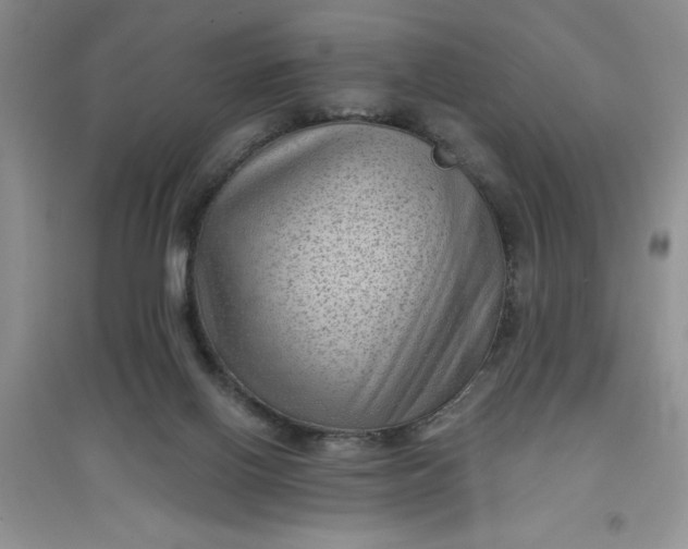 X0000097610070200803141949