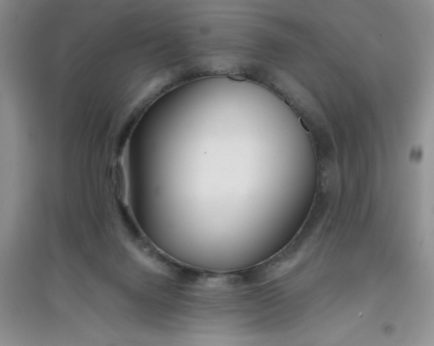 X0000097610072200803141949