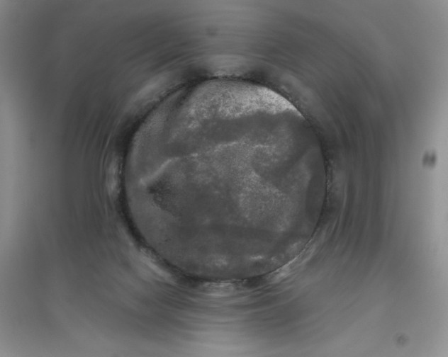 X0000097610074200803141949