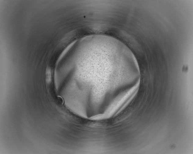 X0000097610075200803141949