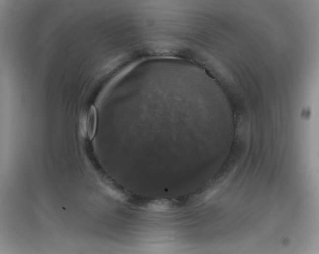 X0000097610076200803141949