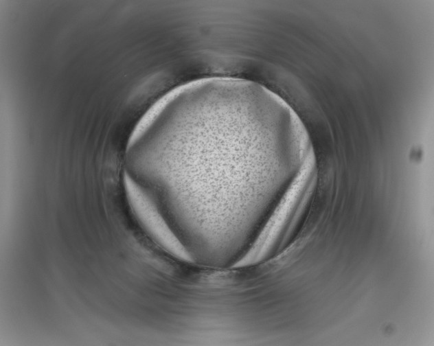 X0000097610078200803141949