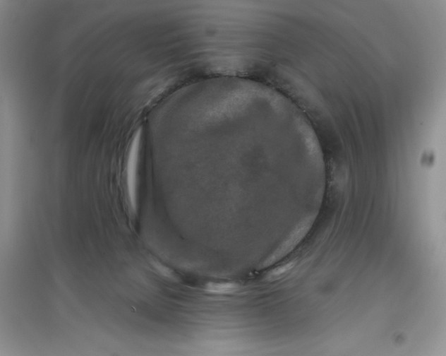 X0000097610080200803141949