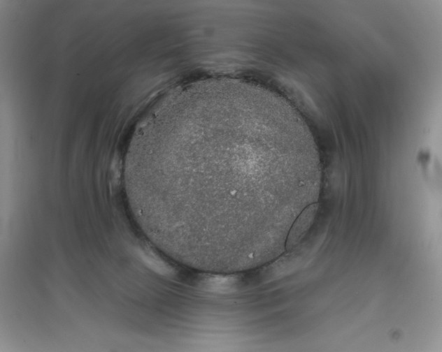 X0000097610081200803141949