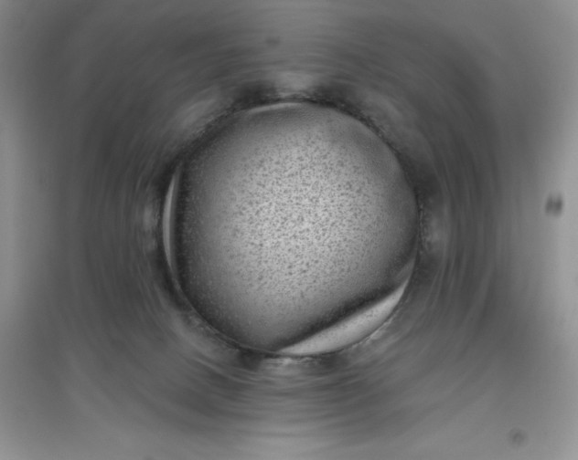 X0000097610082200803141949