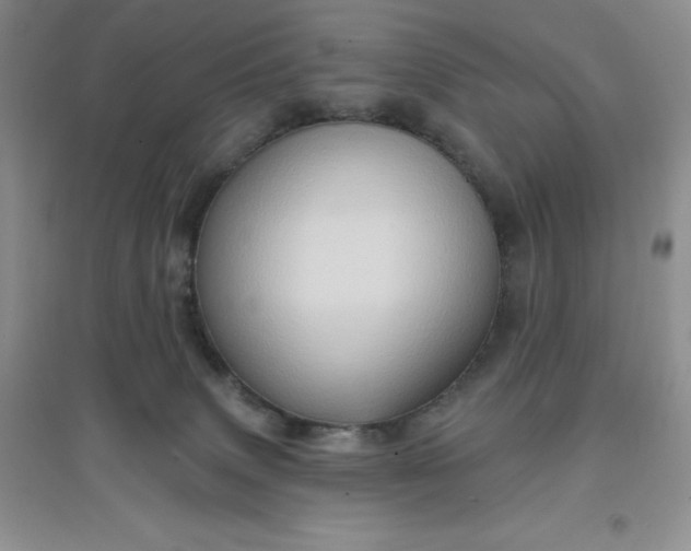 X0000097610083200803141949