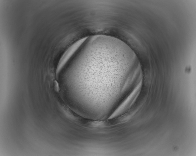 X0000097610085200803141949