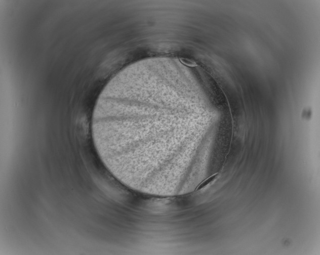 X0000097610086200803141949