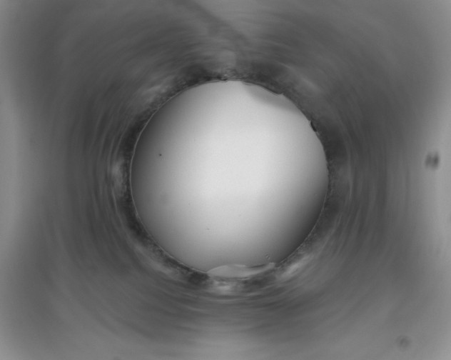 X0000097610088200803141949