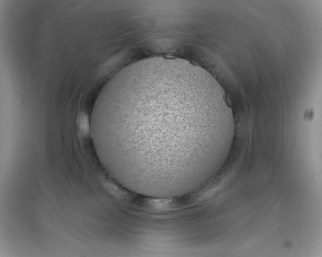 X0000097610089200803141949