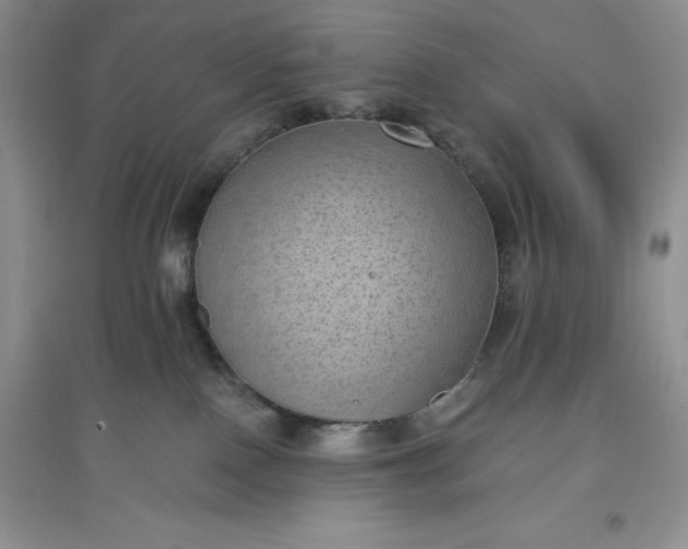 X0000097610090200803141949