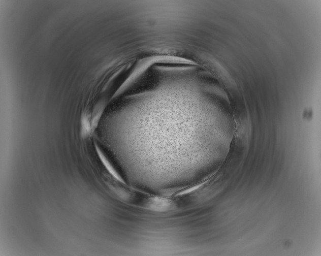 X0000097610095200803141949