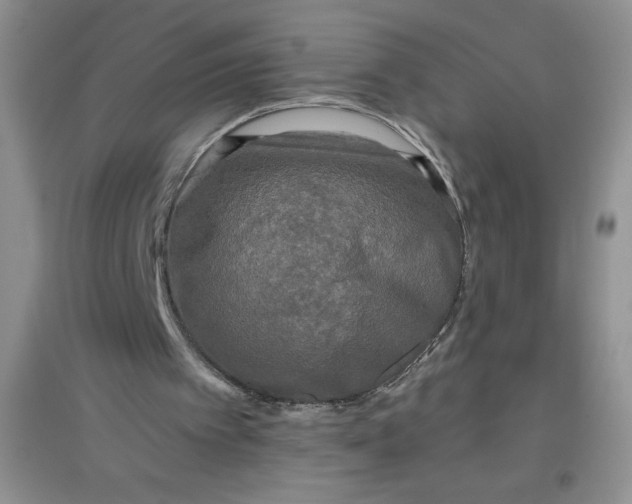 X0000097610097200803141948