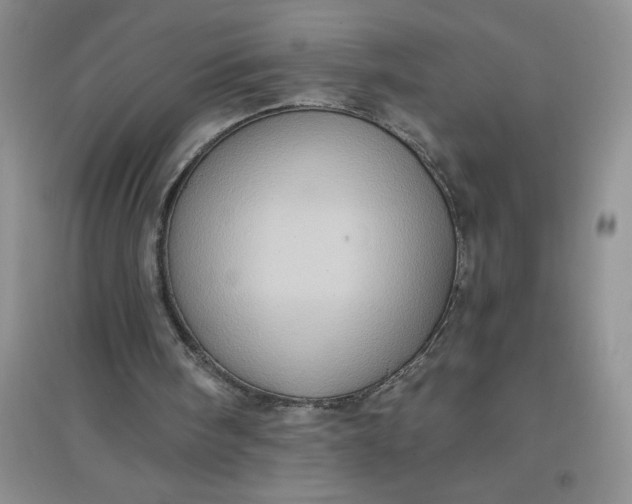 X0000097610098200803141948