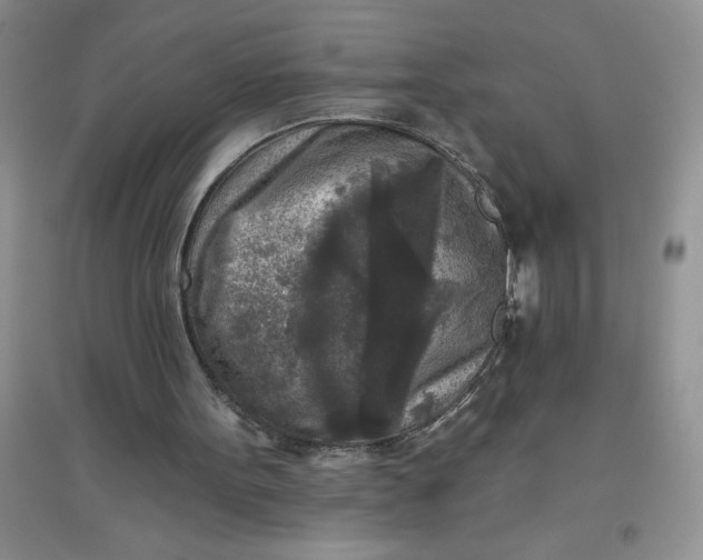 X0000097610099200803141948