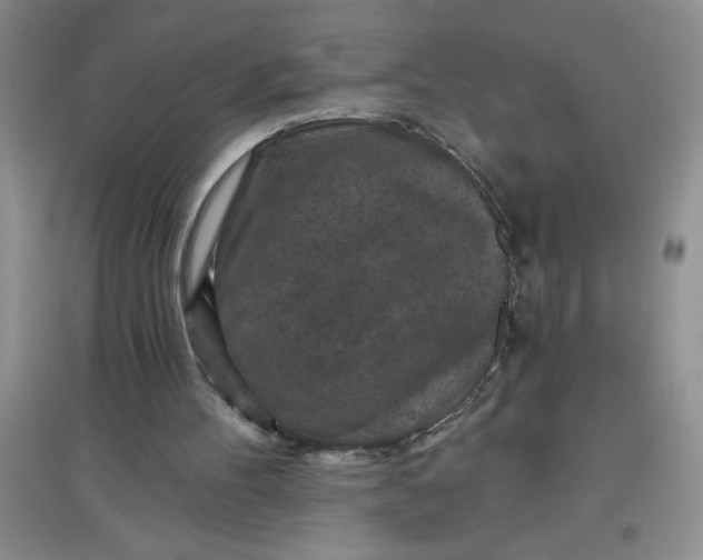 X0000097610100200803141948