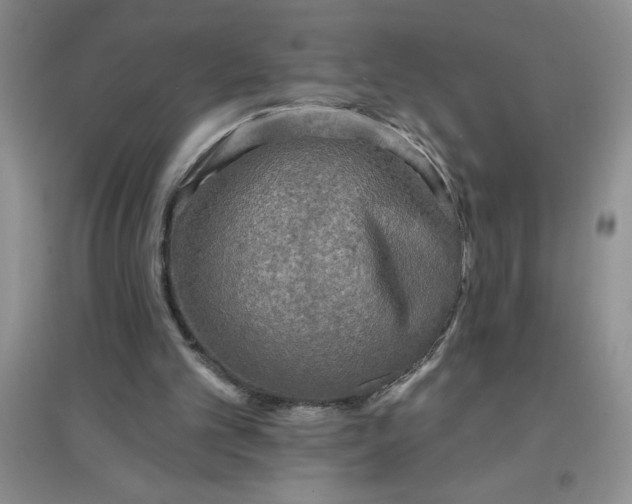 X0000097610101200803141948