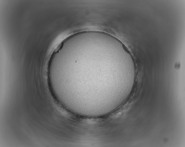 X0000097610103200803141948