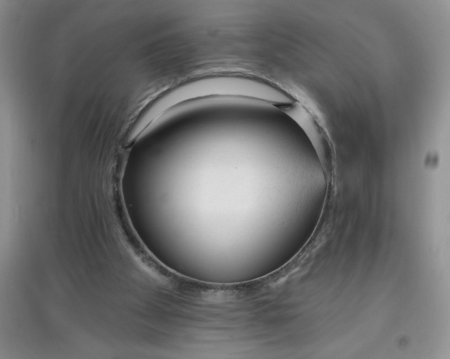 X0000097610105200803141948