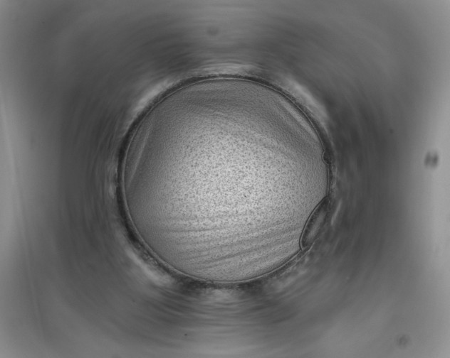 X0000097610107200803141948