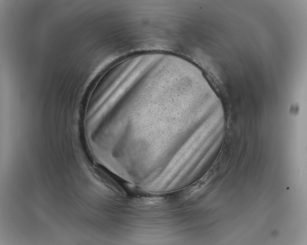 X0000097610108200803141948