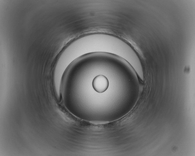 X0000097610110200803141948