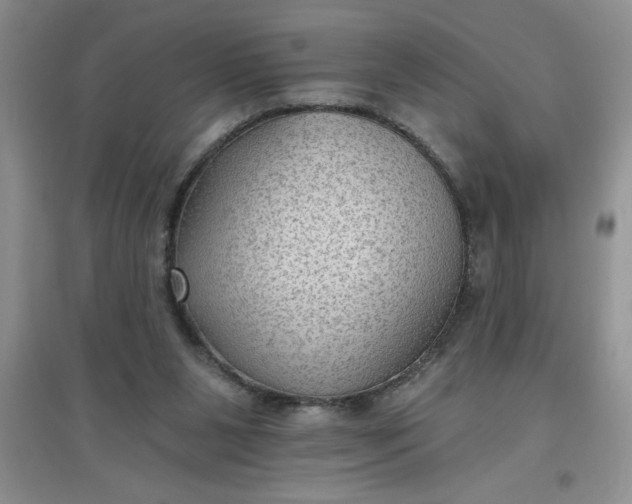 X0000097610111200803141948