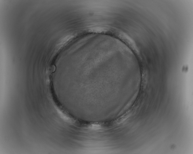 X0000097610114200803141948