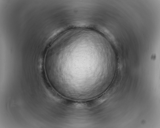 X0000097610115200803141948