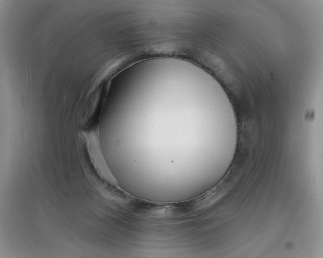 X0000097610116200803141948