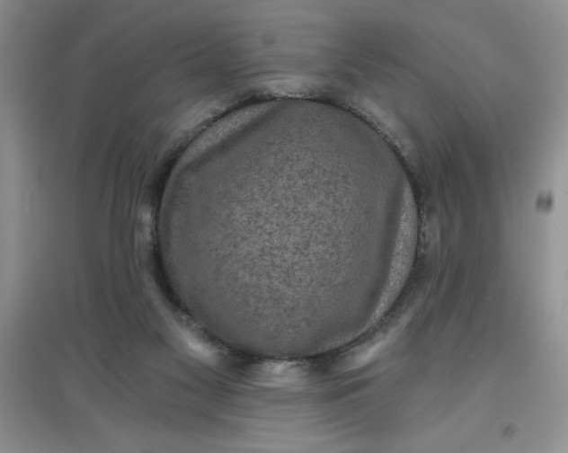 X0000097610117200803141948