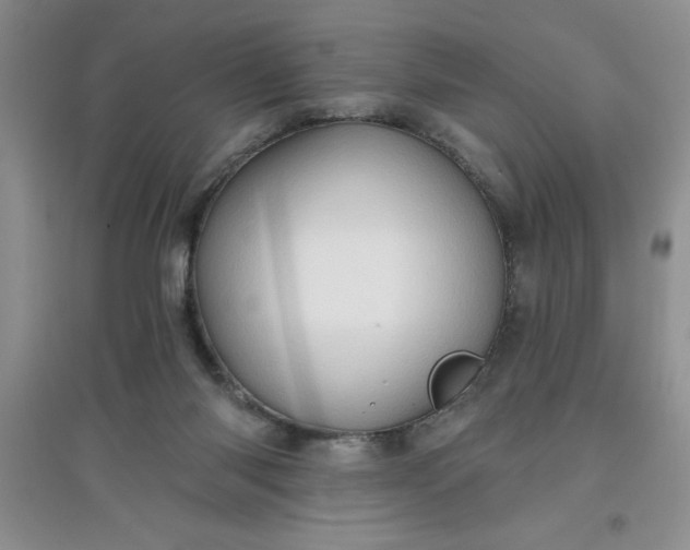 X0000097610118200803141948